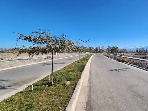 Viamonte