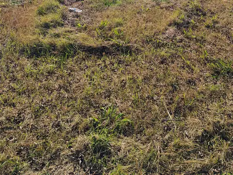 Terreno en Venta 12  mts Frente