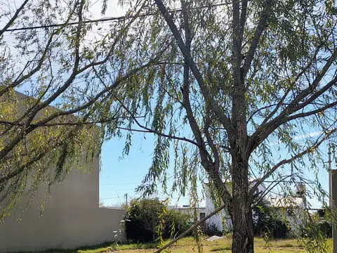 Terreno en Venta 30  mts Fondo