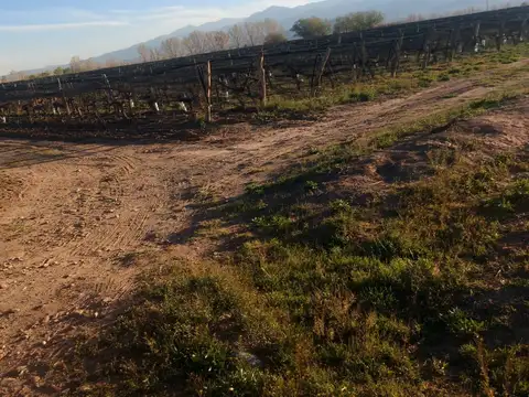 calcalle 2 y Calle Derinosky,le 2