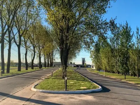 Venta Lote Barrio La Alameda
