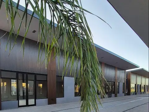 Local en Alquiler A Estrenar