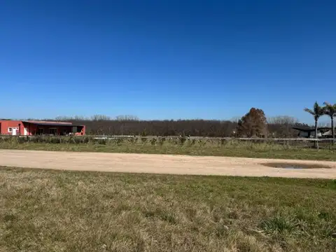 Terreno en venta en La Ranita - Manzanares