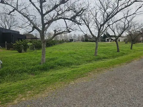 Terreno en Venta de 3121,0 m2