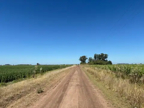 Ruta 100