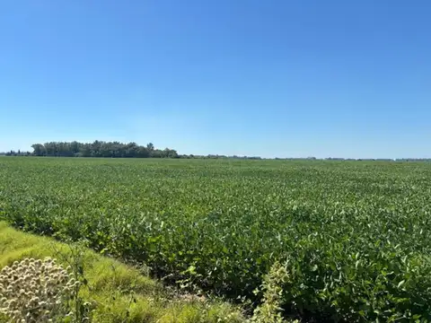 Campo en Venta de 0,01  ha