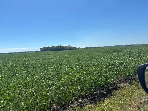 Ruta 100