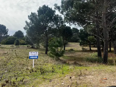 Terreno en Venta 20  mts Frente