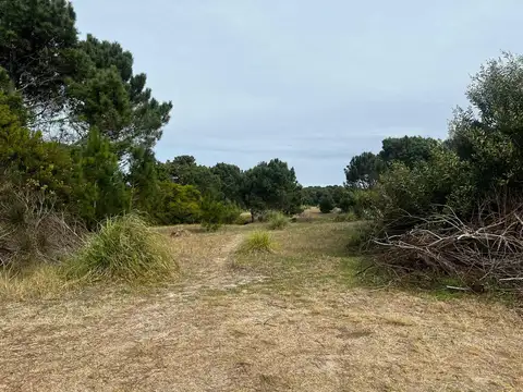 Fraccion 201 Las Gaviotas