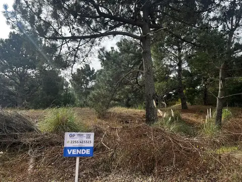 Terreno en Venta 30  mts Fondo