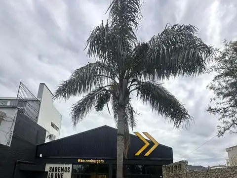 VENDO LOCAL EN LA FLORIDA ALQUILADO