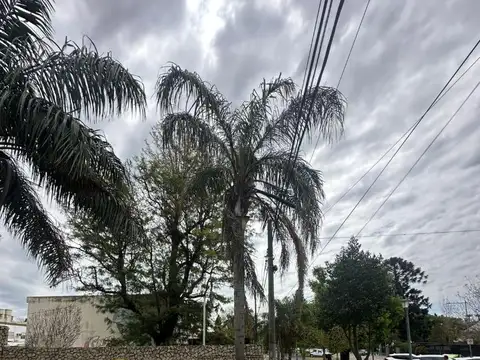 Av. Eudoro Carrasco 4610