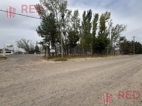 Galpon en Alquiler en Neuquen, USD 8.900