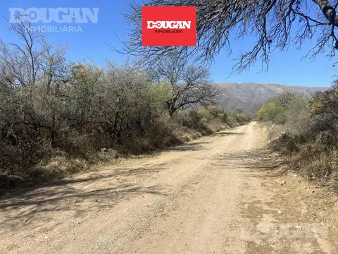 Terreno en Venta 50  mts Fondo