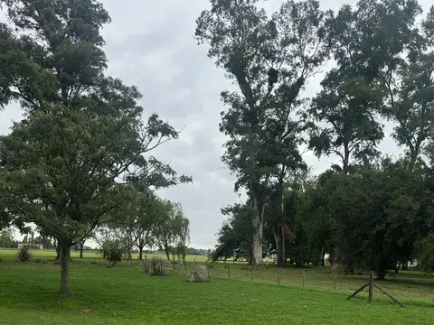 Terreno en Venta en Alejandro Petion, USD 69.000