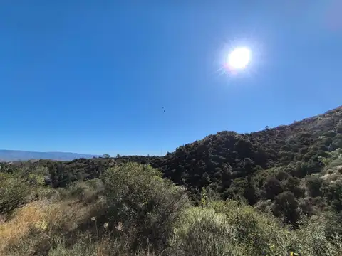 Terreno en Venta 75  mts Fondo
