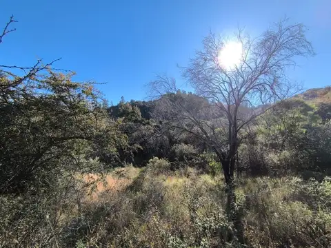 Terreno en Venta 137  mts Frente