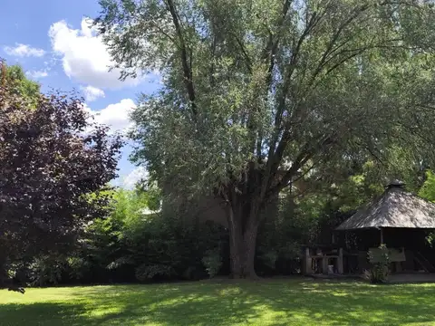 Quinta en Venta en Loma Verde, USD 90.000