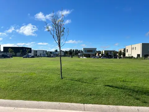 Carpinchos Nordelta 100