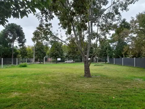 Verdú entre Las Colonias y Guadalupe