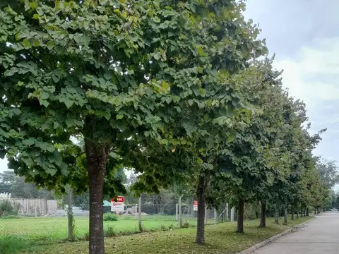 Terreno en Venta 24  mts Frente