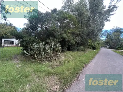 Tierra del Fuego al 600