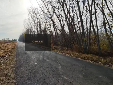 Terreno en Venta de 4643,0 m2