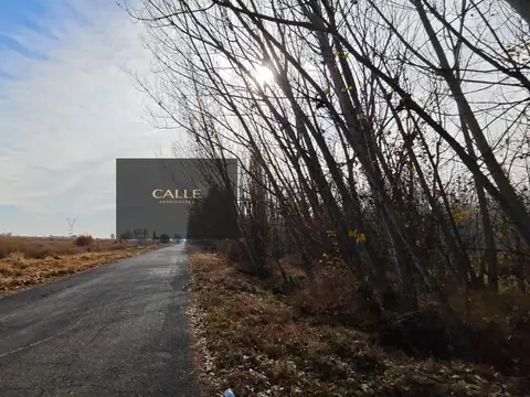 Terreno en Venta de 4643,0 m2