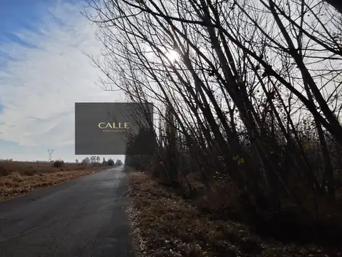 Terreno / Lote en venta de 4643m2 ubicado en Rodeo de la Cruz