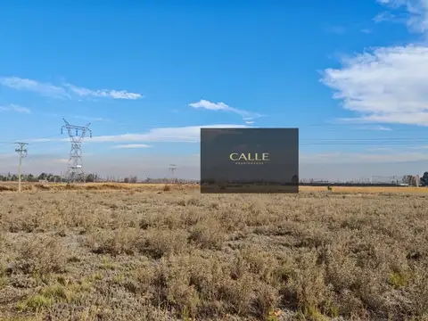 Terreno / Lote en venta de 4643m2 ubicado en Rodeo de la Cruz