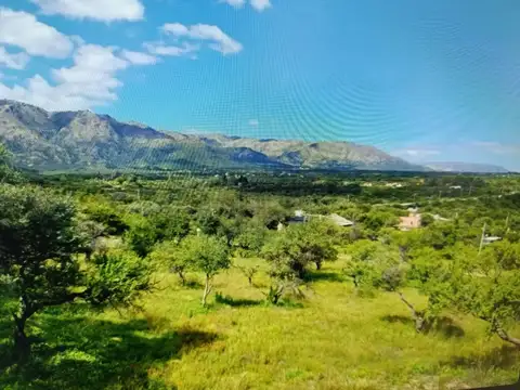 Terreno en Venta 19  mts Frente