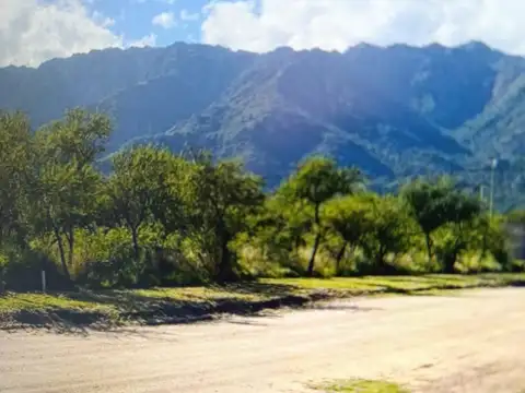 Terreno en Venta 49  mts Fondo