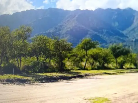 Terreno en Venta en Cortaderas, USD 14.000
