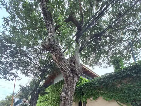 Alquiler Bernal. 2 amb. c/ cochera y patio.