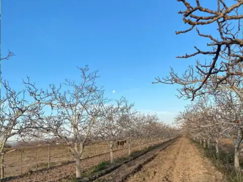 Terreno en Venta en La Consulta, USD 80.000