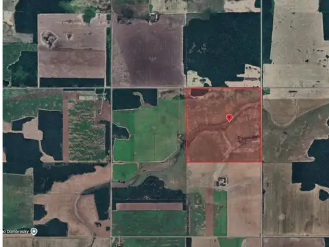 Campo Agricola en Venta - 100has Colonia J.Marmol