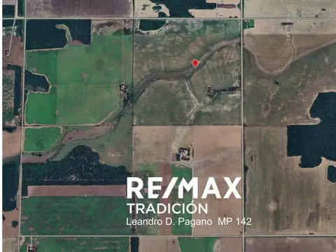 Campo Agricola en Venta - 100has Colonia J.Marmol
