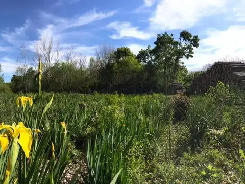 Campo en venta - 81.499Mts2 - Campana