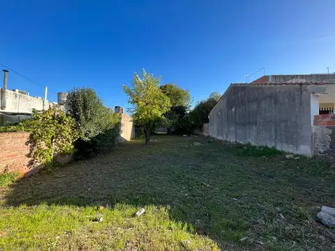 Terreno en Venta 43  mts Fondo