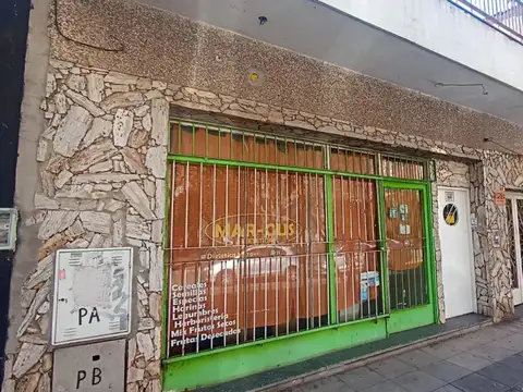 LOCAL CON 2 DEPARTAMENTOS (lote propio)