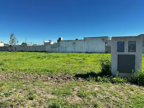 Giacomantone/Bolivar/Zapiola/Arellano