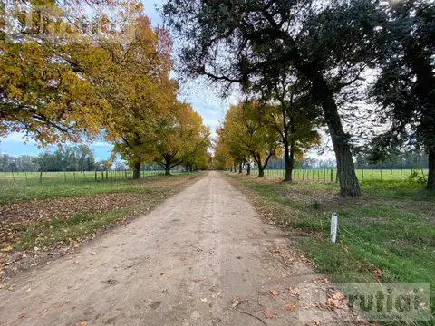 CAMPO de 146 hectareas  IDEAL DESARROLLO URBANISTICO