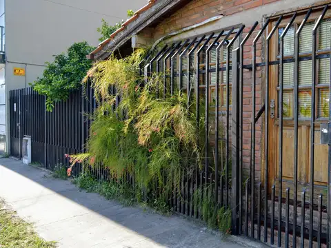 Gobernador Lavallol 2439