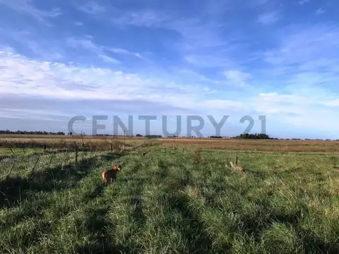 Campo en Venta de 0,02  ha