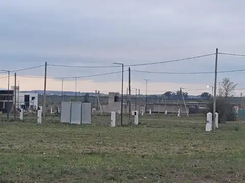 Docta Parque 100