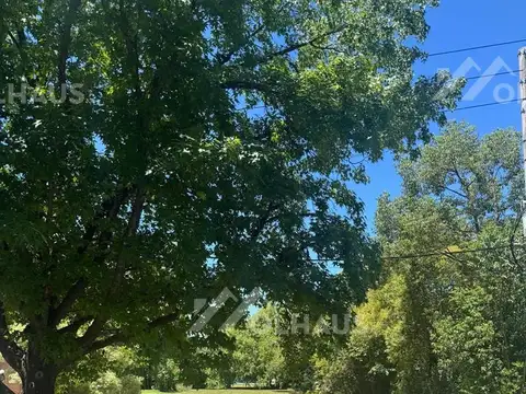 Antartida Argentina 500