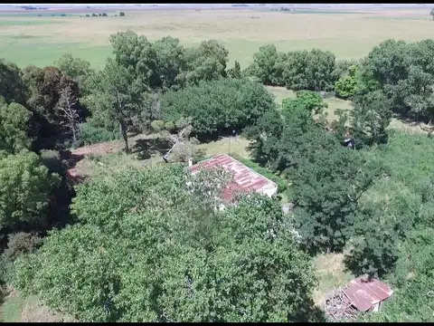 Venta de Campo en  Chascomús