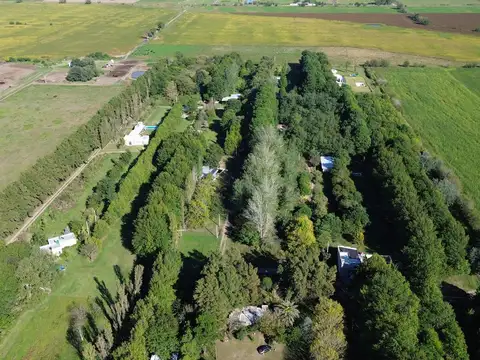 Estancia la Catalina