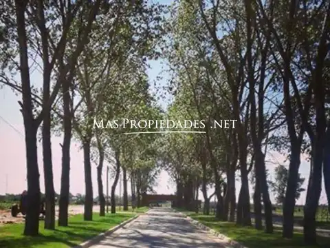 Terreno en Venta en La Alameda, USD 46.500