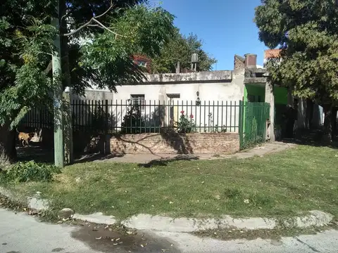 CastaÑon 1300